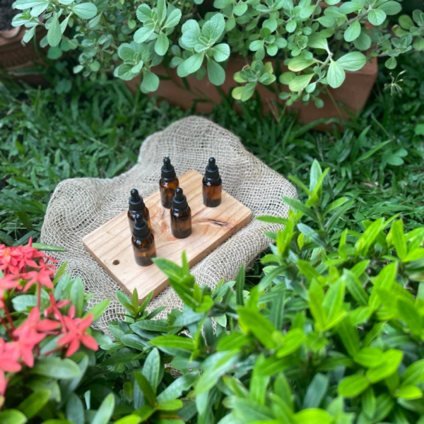 Bases aromáticas - Image 2